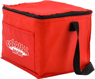 Budget Cooler Bag