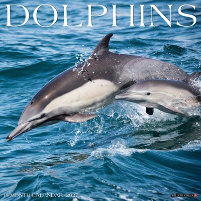 2027 Willow Creek Dolphins  12 x 12 Monthly Wall Calendar (60056)