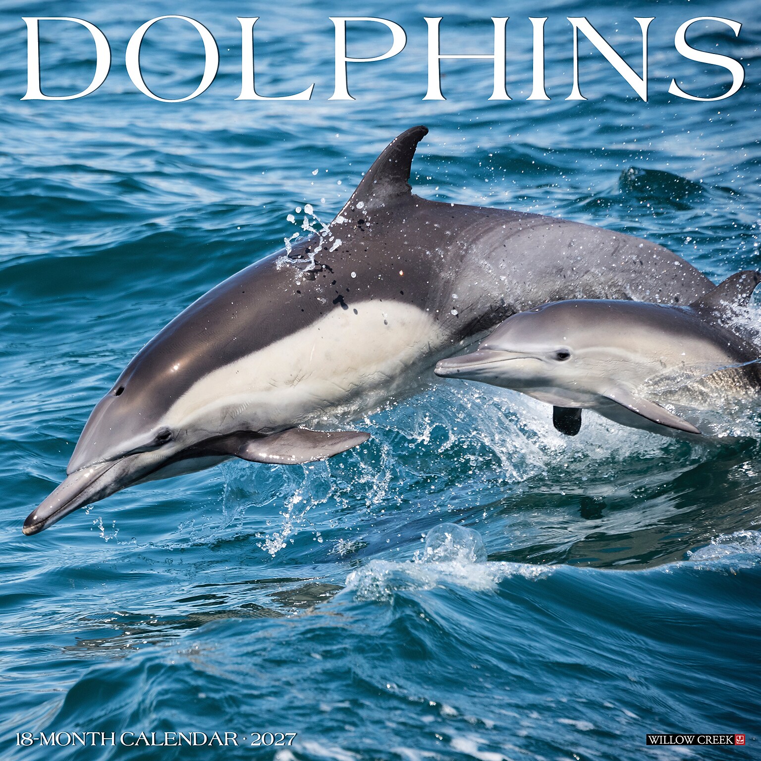 2027 Willow Creek Dolphins  12 x 12 Monthly Wall Calendar (60056)