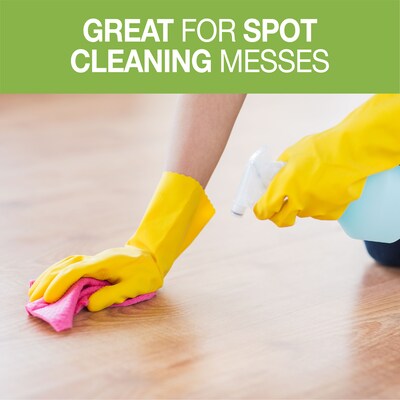 OdoBan Ready-to-Use Luxury Vinyl Floor Cleaner, 1 Gallon (9360B93-G)