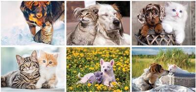Custom Furry Friends Spiral Wall Calendar
