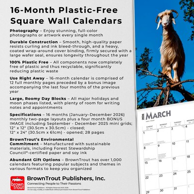 2026 BrownTrout Goats in Trees 12" x 12" Monthly Wall Calendar (9798330703449)