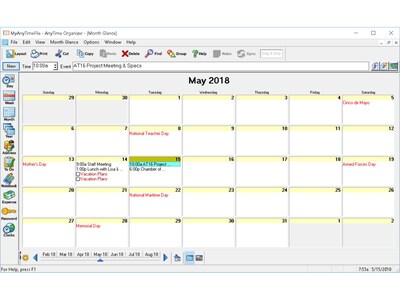 Individual Software AnyTime Organizer Standard 16 for 1 User, Windows, Download (IND945800V062)