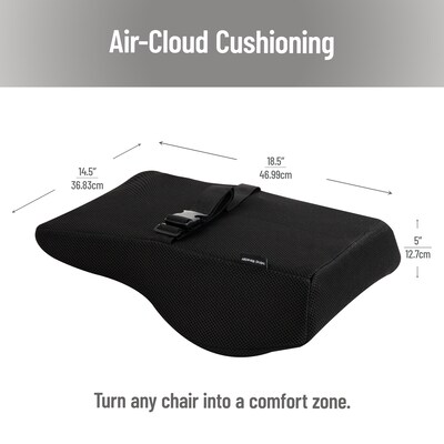 Mind Reader Memory Foam Ergonomic Lower Back Cushion Office Chair Support, Black (VERTBACK-BLK)