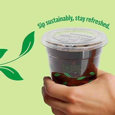 Perk Eco Compostable Straw Slot Cup Lids, 500 Count Bulk Disposable Lids for 12–16 Oz Cold Cups, Clear