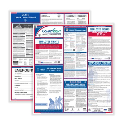 ComplyRight Federal and State Labor Law Poster Set (English), Virginia (E50VA)