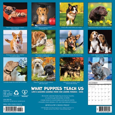 2026 Willow Creek What Puppies Teach Us 12 x 12 Monthly Wall Calendar (53225)
