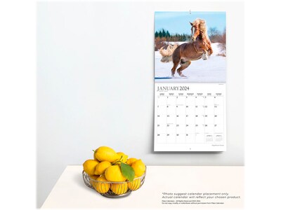 2023-2024 Plato Magnificent Horses 12" x 12" Academic & Calendar Monthly Wall Calendar (9781975467173)
