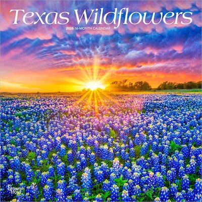 2026 BrownTrout Texas Wildflowers 12 x 12 Monthly Wall Calendar (9798330705832)