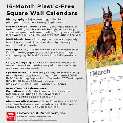 2026 BrownTrout Dobermans 12" x 12" Monthly Wall Calendar (9798330703159)
