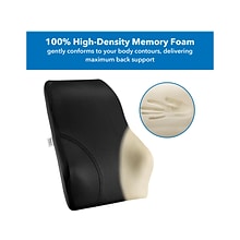 Mount-It! Ergo Collection Memory Foam Full-Back Cushion, Black (MI-1106)