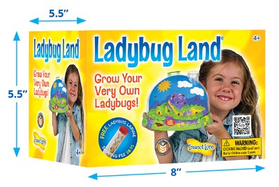 Insect Lore Ladybug Land Hatching Kit (ILP2100)