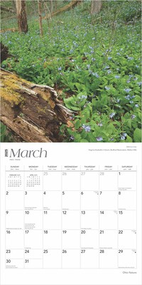 2025 BrownTrout Ohio Nature 12" x 12" Monthly Wall Calendar (9781975475468)
