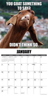 2027 Willow Creek You Goat This 12" x 12" Monthly Wall Calendar, Assorted Colors (63132)