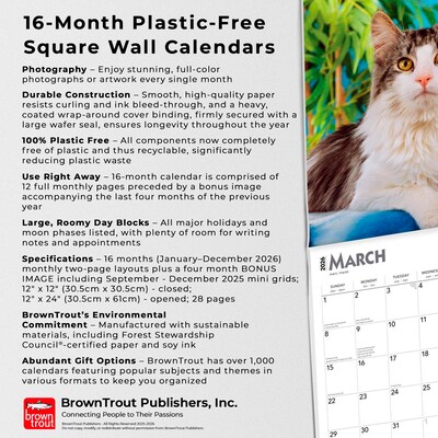2026 BrownTrout Maine Coon Cats 12" x 12" Monthly Wall Calendar (9798330704460)