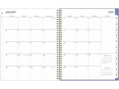 2025 Blue Sky Cocorrina 8.5" x 11" Weekly & Monthly Planner, Plastic Cover, Multicolor (143696-25)