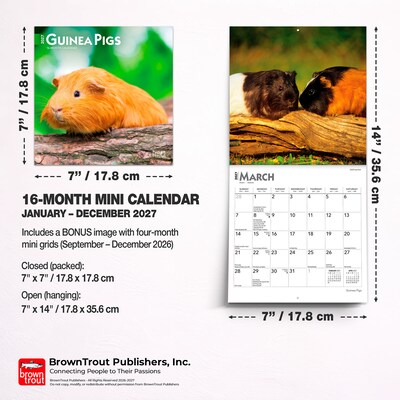 2027 BrownTrout Guinea Pigs 7" x 7" Monthly Wall Calendar, Assorted Colors (9798330709793)