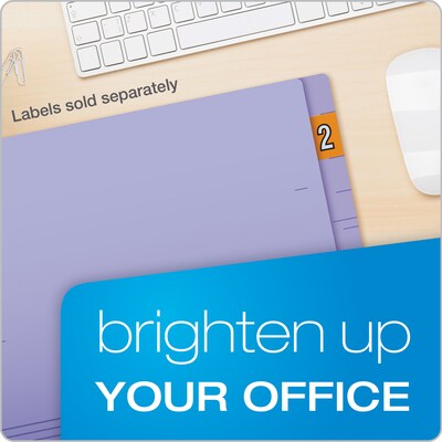 Pendaflex Recycled End Tab File Folder, Straight Cut, Letter Size, Purple, 100/Box (H110DPR)