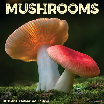 2027 Willow Creek Mushrooms 12 x 12 Monthly Wall Calendar, Assorted Colors (61374)