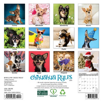 2027 Willow Creek Chihuahua Rules 7 x 7 Monthly Wall Calendar (63958)