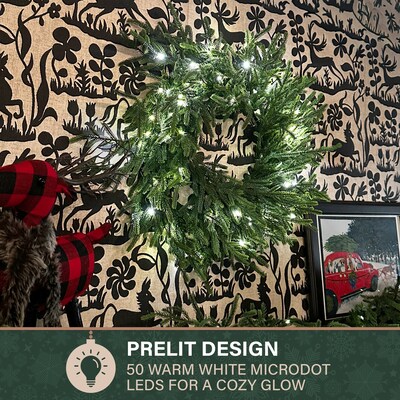 Fraser Hill Farm 24” Real Feel Artificial Wreath (FFRF024W-5MGR)