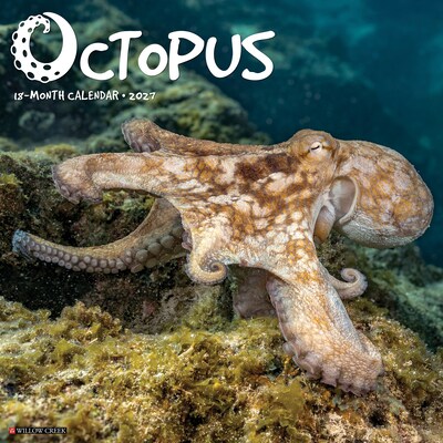 2027 Willow Creek Octopus 12 x 12 Monthly Wall Calendar (61596)
