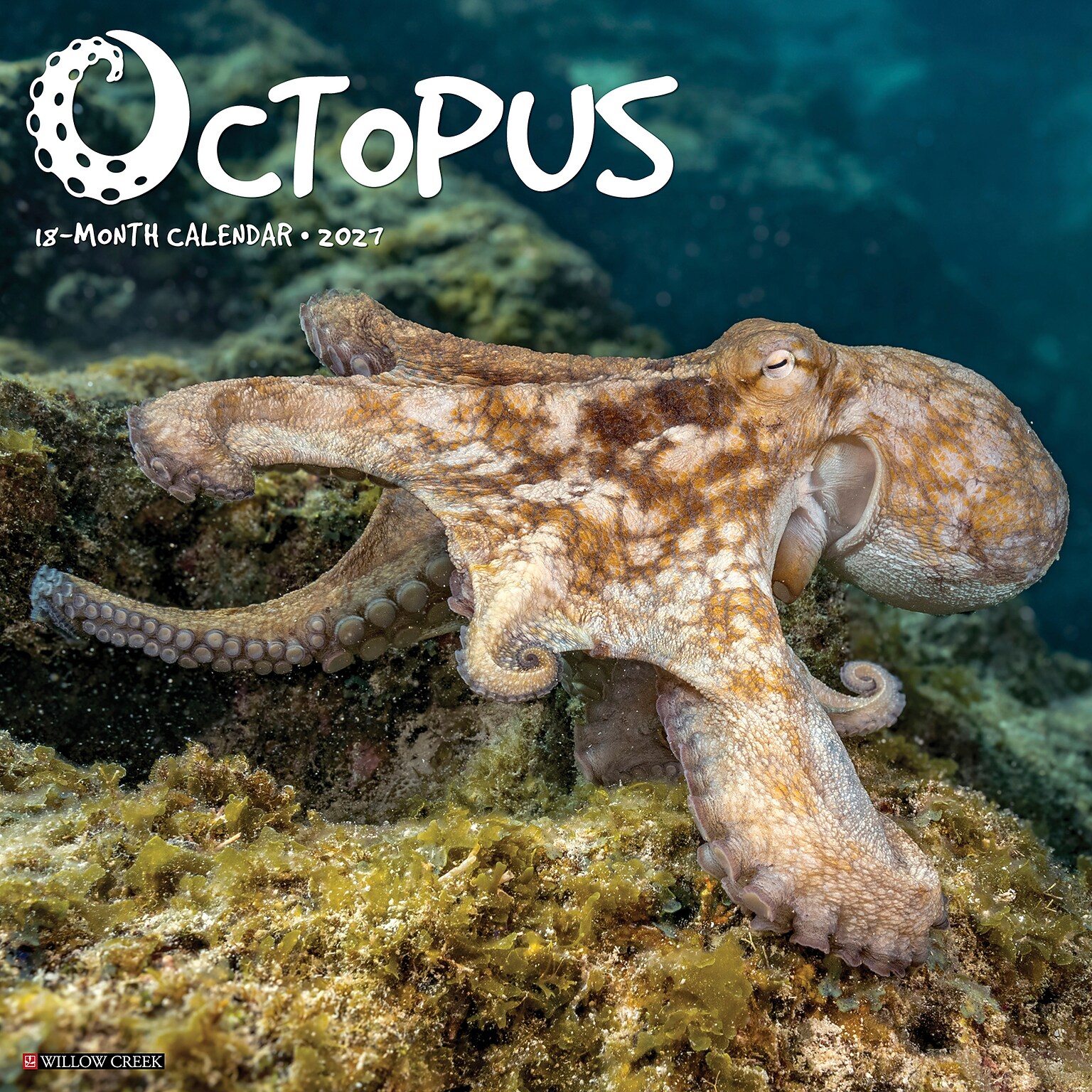2027 Willow Creek Octopus 12 x 12 Monthly Wall Calendar (61596)