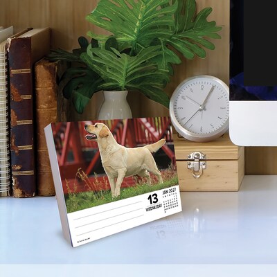 2027 Willow Creek Just Labs 5.4" x 6.2" Day-to-Day Calendar (63569)