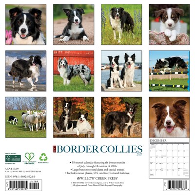 2027 Willow Creek Border Collies 12 x 12 Monthly Wall Calendar, Assorted Colors (59289)