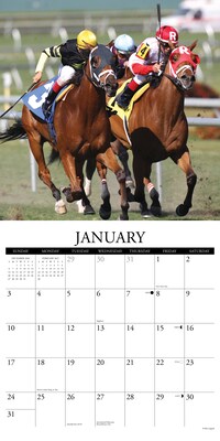2027 Willow Creek Horse Racing 12" x 12" Monthly Wall Calendar (60698)