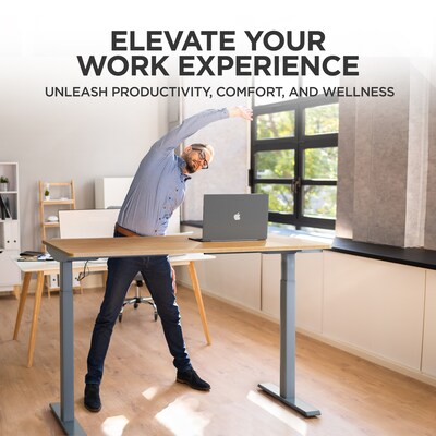Uncaged Ergonomics Rise Up Electric Adjustable Height Standing Desk with Natural Bamboo Desktop Gray Frame (Rugb)