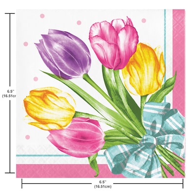 Say Hooray! Trendy Tulips Spring Disposable Paper Plates and Napkins Set, 48/Pack (DTC9628E2G)