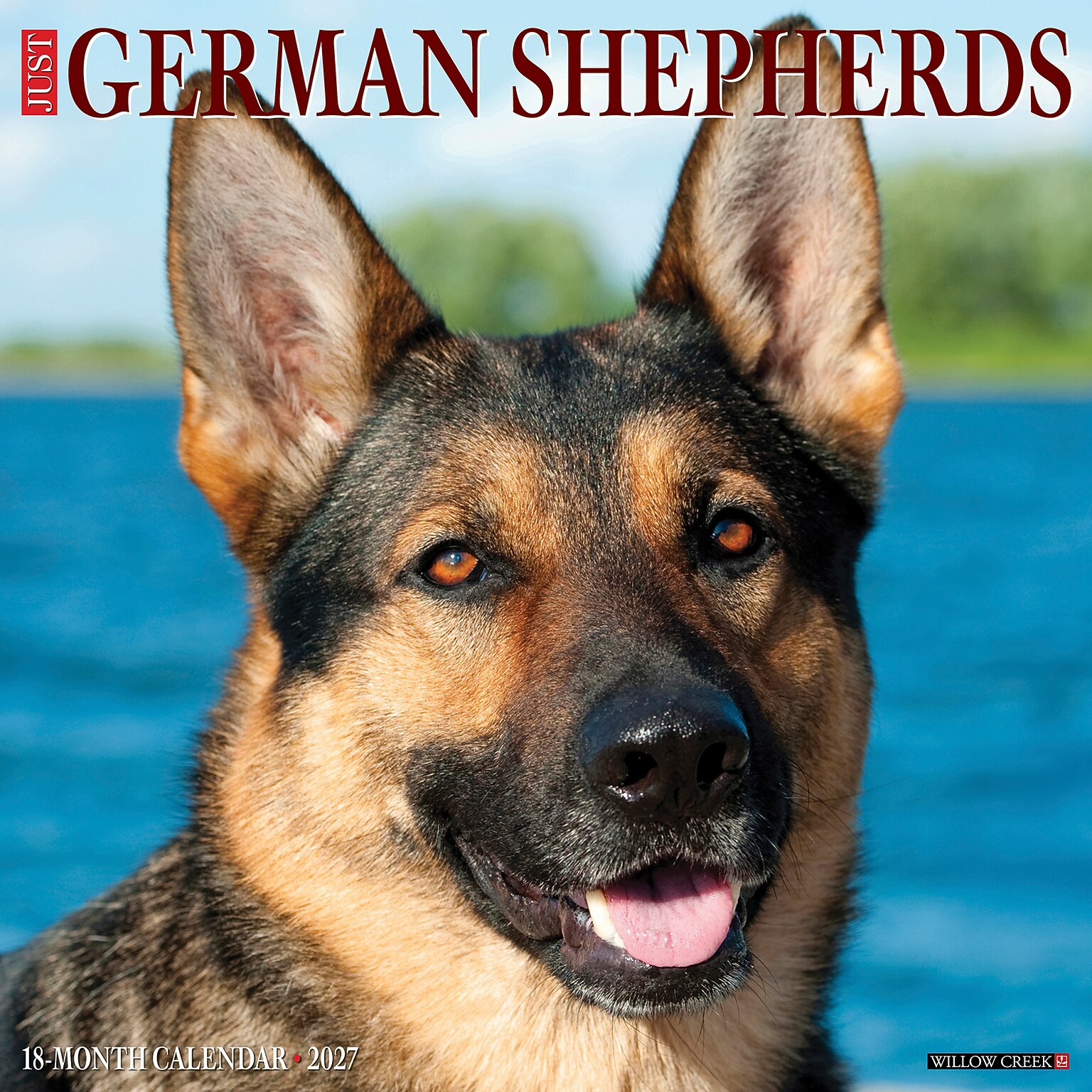 2027 Willow Creek German Shepherds 12 x 12 Monthly Wall Calendar, Assorted Colors (60377)