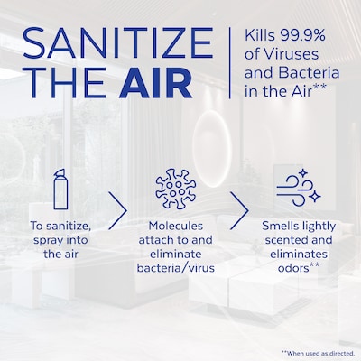 Lysol Air Sanitizer Spray, Simple Fresh Scent, 10 oz., 6/Carton (19200-99350CT)