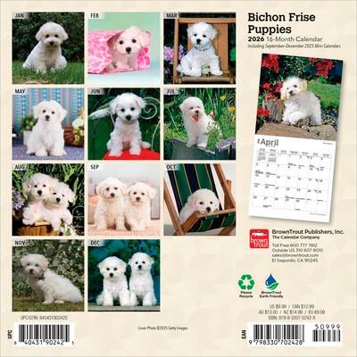 2026 BrownTrout Bichon Frise Puppies 7 x 7 Monthly Wall Calendar (9798330702428)