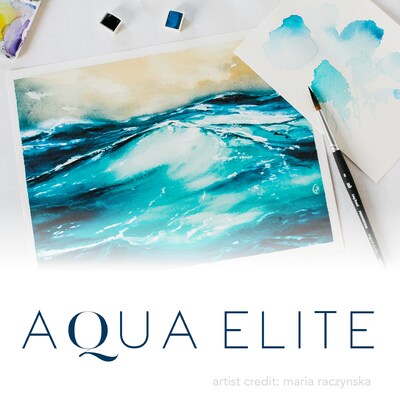 Princeton Aqua Elite Watercolor Synthetic Angle Shader Brush, 2/Pack (PBXP4850AS050-2)