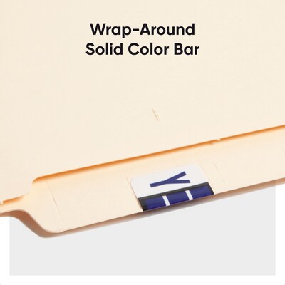 Smead BCCR Labels File Folder Label, Y, Violet, 500 Labels/Pack (67095)