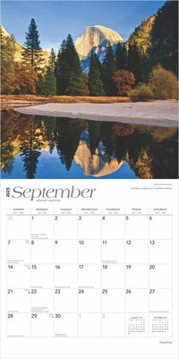 2025 BrownTrout Yosemite 12" x 24" Monthly Square Wall Calendar, (9781975475994)