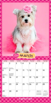 2026 BrownTrout Puppies in Pink 7" x 7" Monthly Wall Calendar (9798330707942)