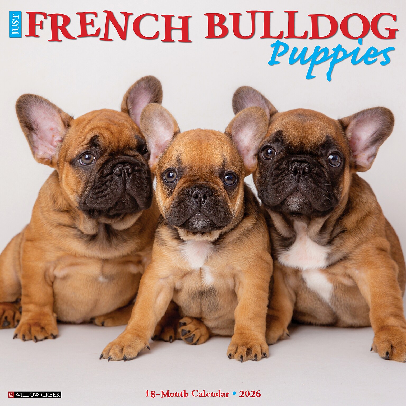 2026 Willow Creek French Bulldog Puppies 12 x 12 Monthly Wall Calendar (51160)