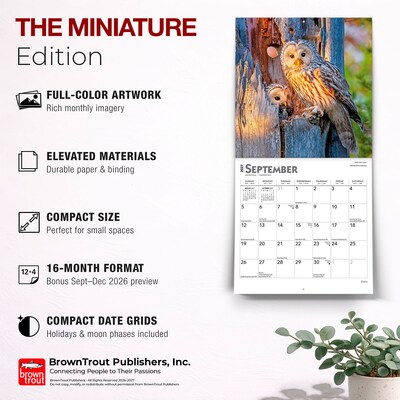 2027 BrownTrout Owls 7" x 7" Monthly Wall Calendar (9798330709847)