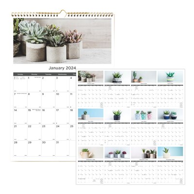 2024 Blueline Succulent Plants 12" x 17" Monthly Wall Calendar (C173121)
