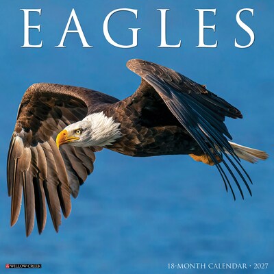 2027 Willow Creek Eagles 12 x 12 Monthly Wall Calendar, Assorted Colors (60087)