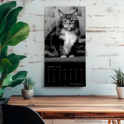 2026 BrownTrout The BrownTrout Portrait Series: The Regal Cat 12" x 12" Monthly Wall Calendar (9798330707874)