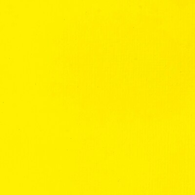 Liquitex BASICS Acrylic Paint Tube, Cadmium Yellow Light Hue, 250 mL (LIQ4385160)