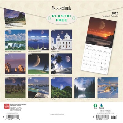 2025 BrownTrout Moonstruck 12 x 24 Monthly Square Wall Calendar (9781975477455)