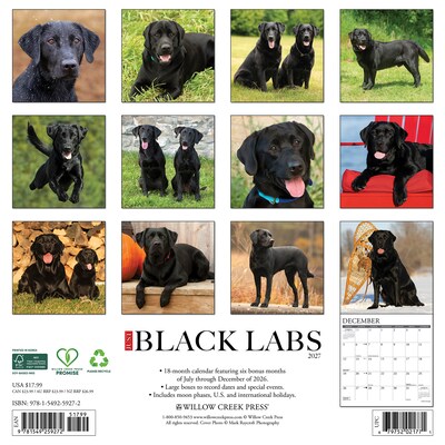 2027 Willow Creek Black Labs 12 x 12 Monthly Wall Calendar, Assorted Colors (59272)