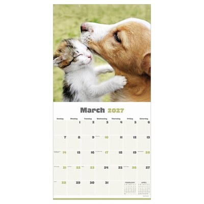 2027 TF Publishing Furry Friends 12 x 12 Monthly Wall Calendar (27-1011)