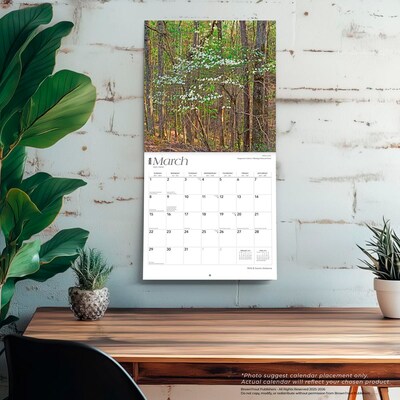 2026 BrownTrout Alabama Wild & Scenic 12" x 12" Monthly Wall Calendar (9798330702022)