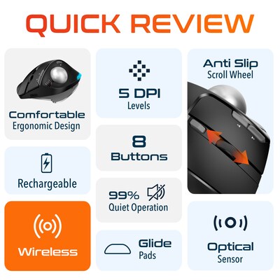 Delton T100 Wireless Ergonomic Trackball USB Mouse, Black (DMST100-WB)